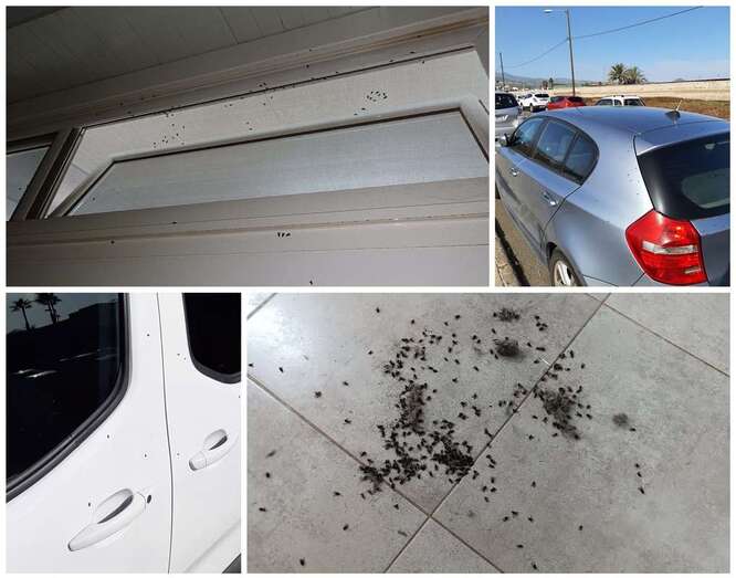 Imágenes remitidas por los vecinos a TELDEACTUALIDAD/TA.